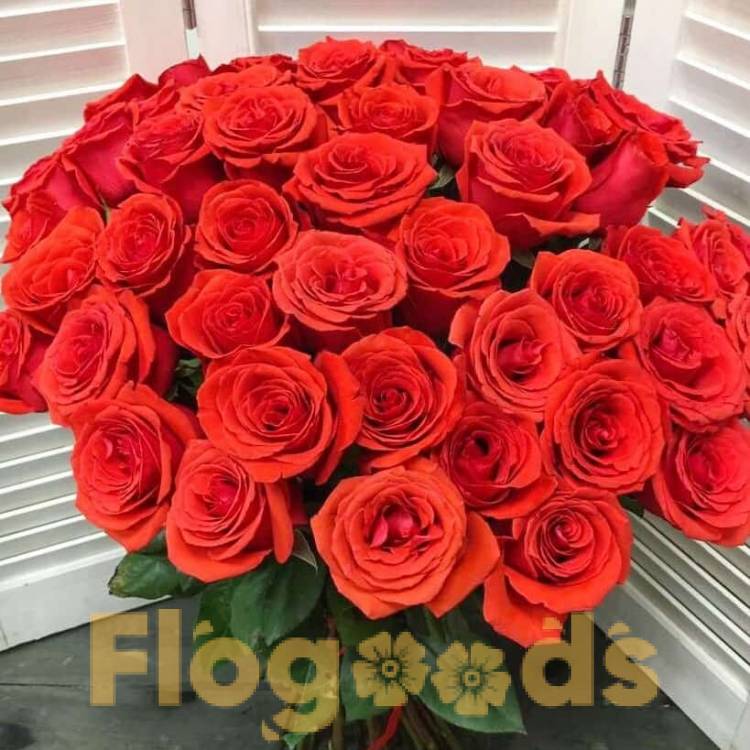 51 красная роза за 31 184 руб.